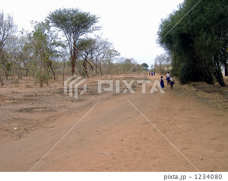 自然溢れる大地 1234080