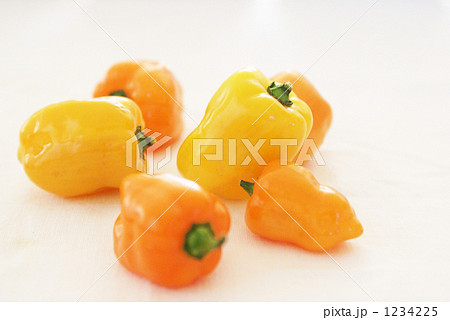 ハバネロ 1234225