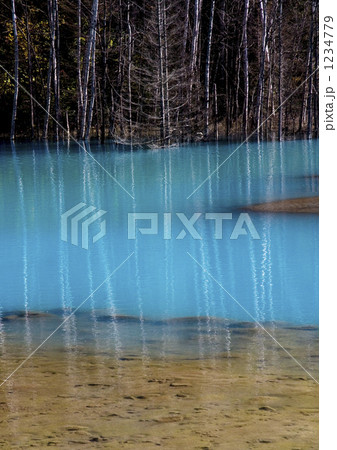 美瑛 青い沼 美瑛 青い沼 1234779
