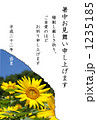 暑中見舞い・向日葵 1235185