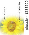 暑中見舞い・蜜蜂と向日葵 1235200
