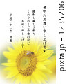 暑中見舞い・蜜蜂と向日葵 1235206