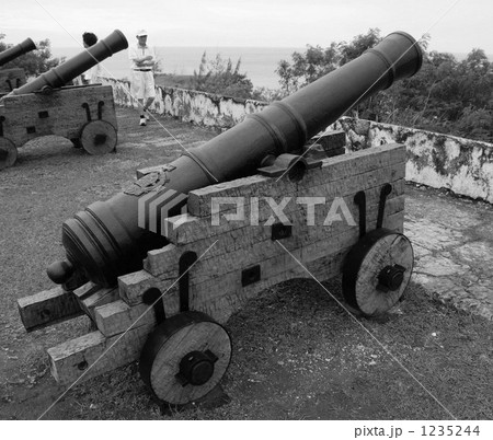 ウマタックの大砲 1235244