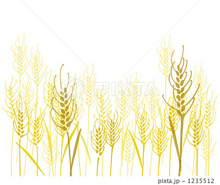 小麦畑の手書きイラストのイラスト素材 1235512 Pixta