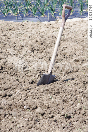畑に立つスコップ 1235744