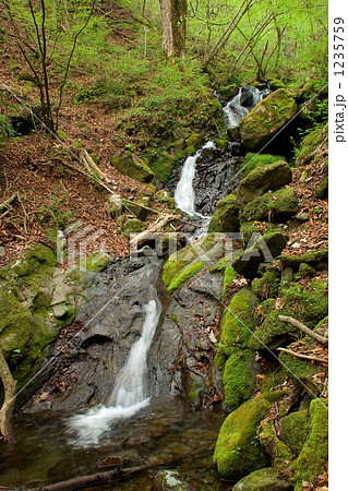 新緑の小滝 1235759