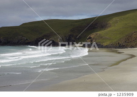 ビーチを歩くペンギン 1235909