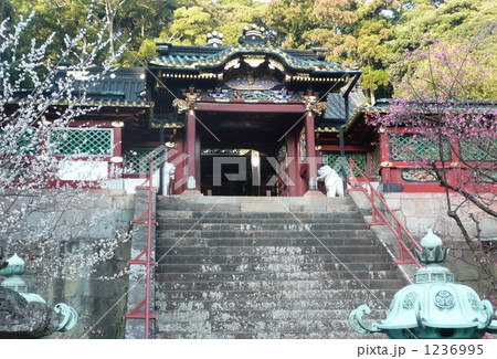 久能山東照宮 1236995