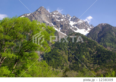 新緑の明神岳 1238309