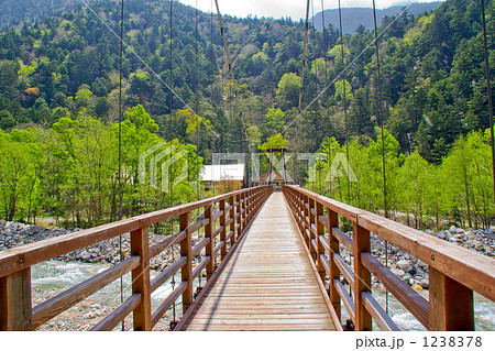 新緑の横尾大橋 新緑の横尾大橋 1238378