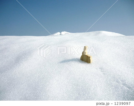 雪うさぎ 1239097