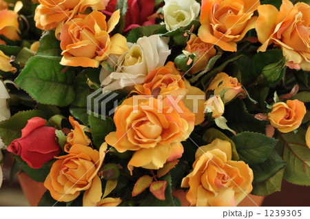 黄色いバラ 1239305