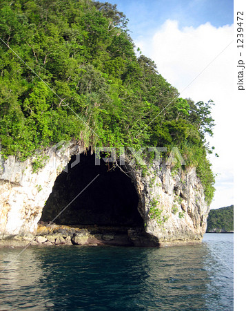 日本軍が掘った穴（パラオ） 1239472