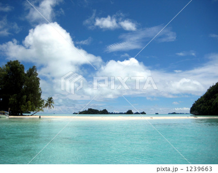 南の島と海 1239663