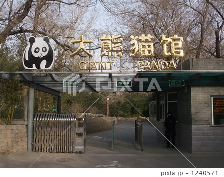 北京 北京動物園 北京 北京動物園 1240571