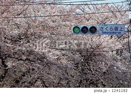 桜坂 1241192