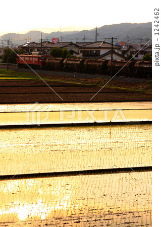 2009年6月11日　信越本線　群馬八幡－安中 5781レ 1242462