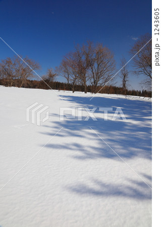 青空と雪原 青空と雪原 1243605