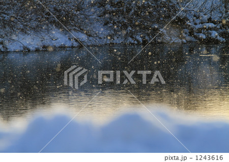 粉雪 粉雪 1243616