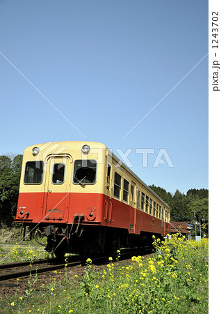 小湊鉄道　春 1243702