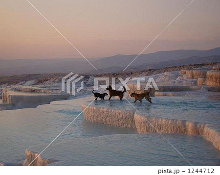 パムッカレの石灰棚 1244712