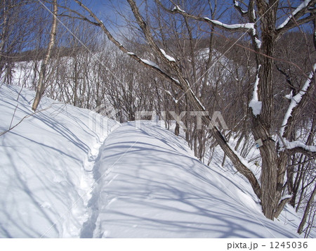 冬の登別温泉遊歩道 冬の登別温泉遊歩道 1245036