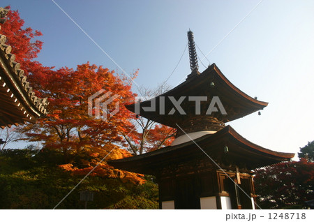 善峰寺多宝塔 善峰寺多宝塔 1248718