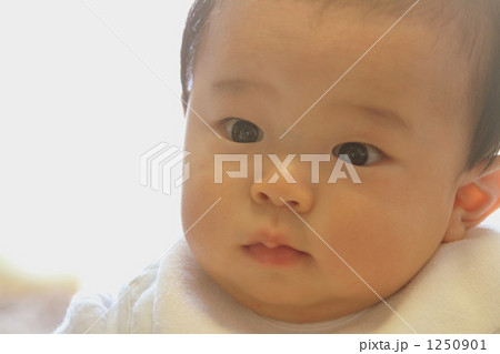 見つめる 1250901