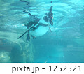 1252521