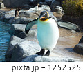 1252525