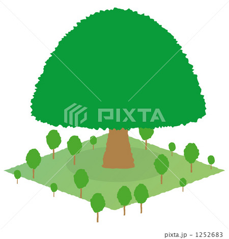 大きい木と小さい木のイラスト素材