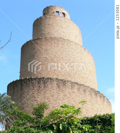 沖縄海洋博公園内の熱帯ドリームセンター 1253081