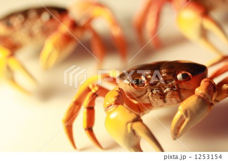 1253154