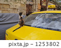 何を見ているの？ 1253802