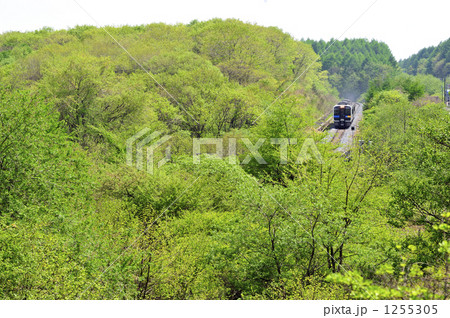 小海線　ハイブリット気動車 1255305