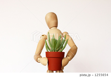 植木鉢を持つデッサン人形　 1255654