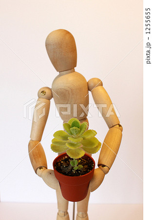 植木鉢を持つデッサン人形　 1255655