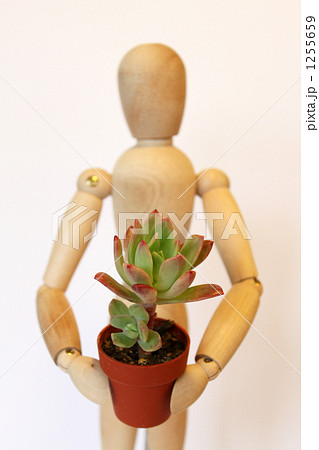 植木鉢を持つデッサン人形　 1255659
