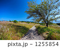 高原の一本道 1255854
