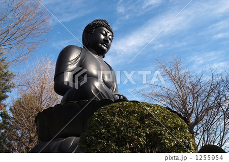 赤塚山乗蓮寺　東京大仏 1255954
