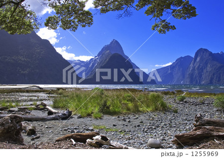 ミルフォードサウンド 1255969