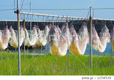 漁網を干す 1258529