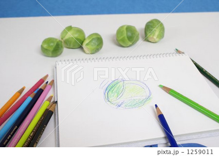 可愛い野菜かわいくスケッチ 1259011