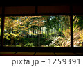 座る 1259391