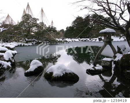 雪の兼六園 1259419