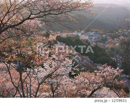 吉野山遠景 1259631
