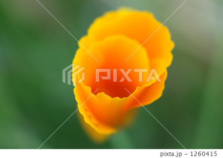 1260415