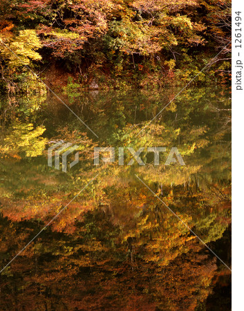 水面に映る紅葉 1261494