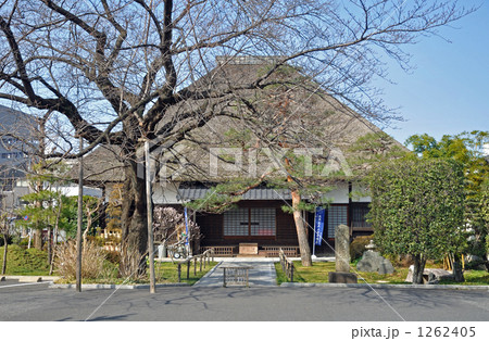 岩槻散歩・願生寺 1262405