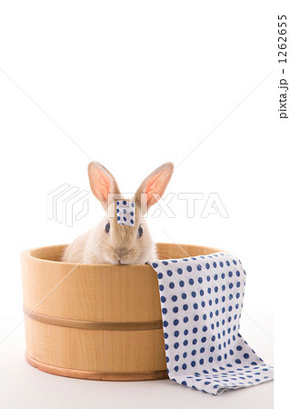 手拭と木桶と子兔 1262655